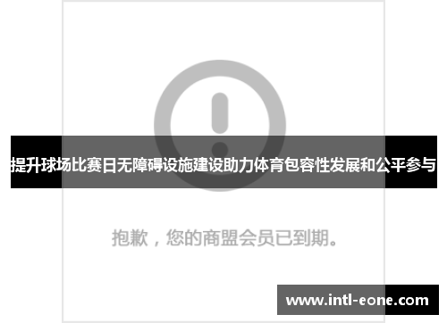 提升球场比赛日无障碍设施建设助力体育包容性发展和公平参与
