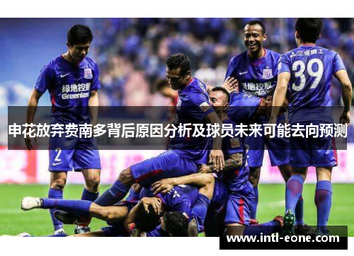 申花放弃费南多背后原因分析及球员未来可能去向预测