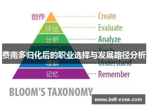 费南多归化后的职业选择与发展路径分析