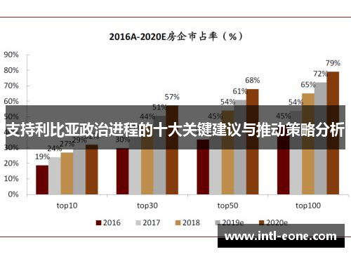 支持利比亚政治进程的十大关键建议与推动策略分析