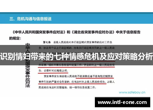 识别情妇带来的七种情感危机及应对策略分析