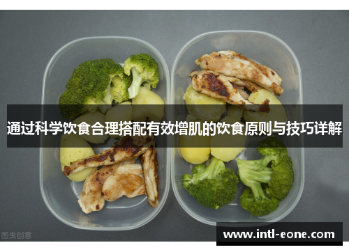 通过科学饮食合理搭配有效增肌的饮食原则与技巧详解
