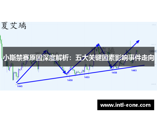 小斯禁赛原因深度解析：五大关键因素影响事件走向