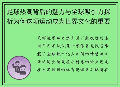 足球热潮背后的魅力与全球吸引力探析为何这项运动成为世界文化的重要一部分
