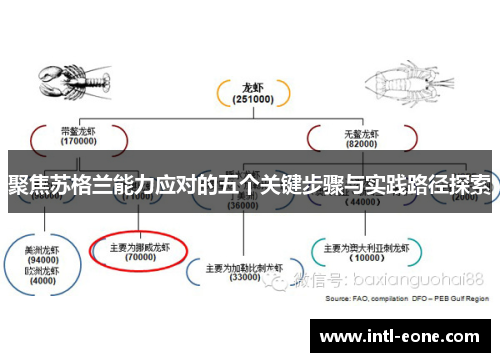 聚焦苏格兰能力应对的五个关键步骤与实践路径探索
