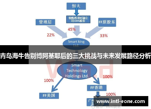 青岛海牛告别博阿基耶后的三大挑战与未来发展路径分析